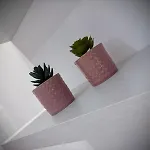 Sweet Family 1 ウーディネ